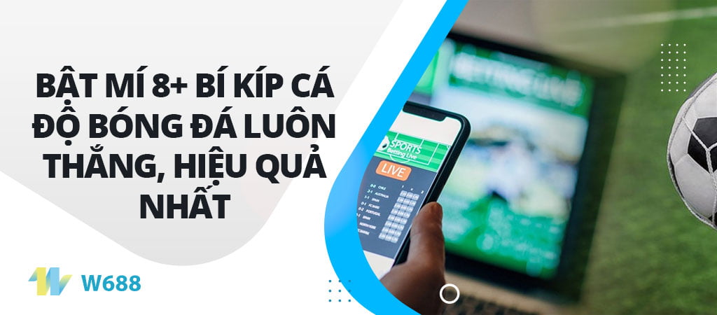 Bật mí 8+ bí kíp cá độ bóng đá luôn thắng, hiệu quả nhất