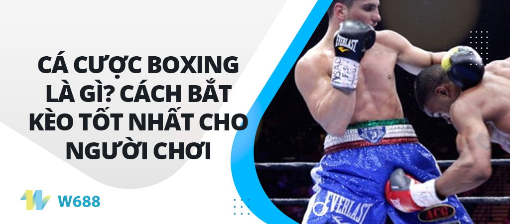 Cá cược Boxing là gì? Cách bắt kèo tốt nhất cho người chơi