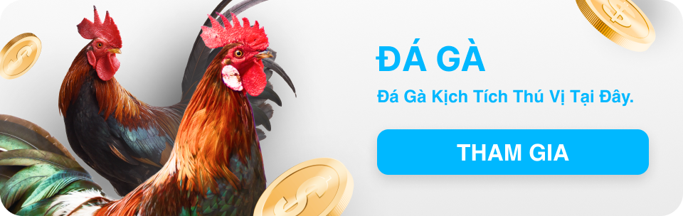 Đá gà w688