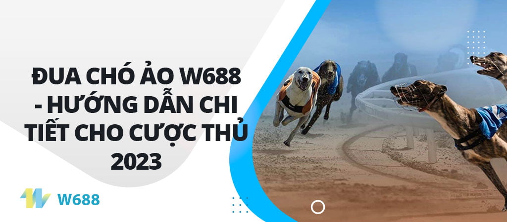 Đua chó ảo W688 - Hướng dẫn chi tiết cho cược thủ 2023