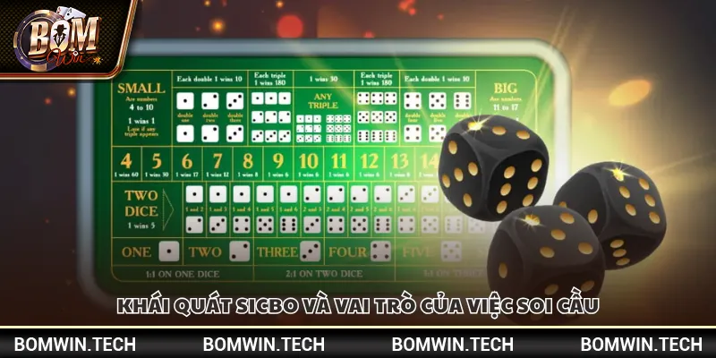 Khái quát Sicbo và vai trò của việc soi cầu